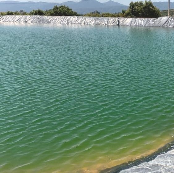 Lined water-storage reservoir feeding the orchard